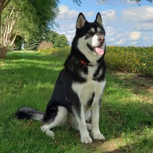 Meet your Posher, Kerri